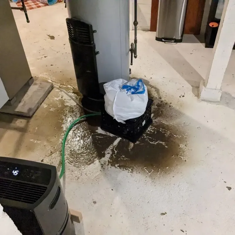 Sewage Backup Cleanup Service in Merlin, OR